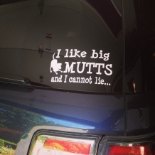 I like big MUTTS